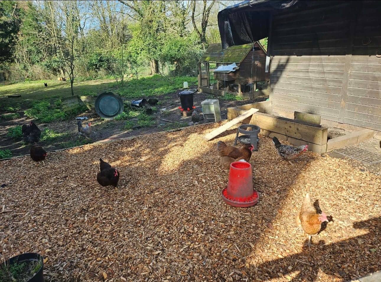 Lawn Enforcement yard and stock in Cheshunt